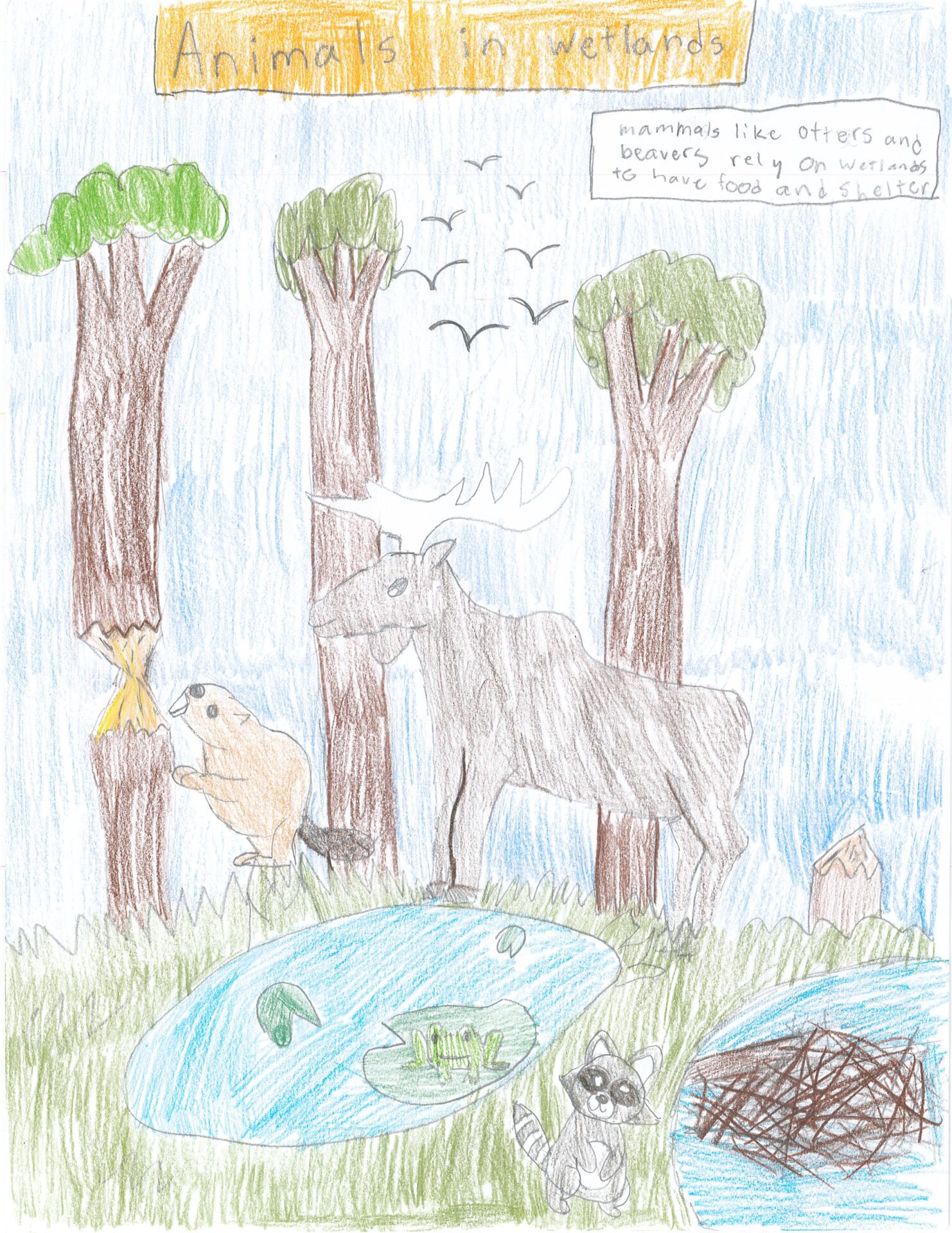 Aubrey, Davison School, Melville - Gr. 3