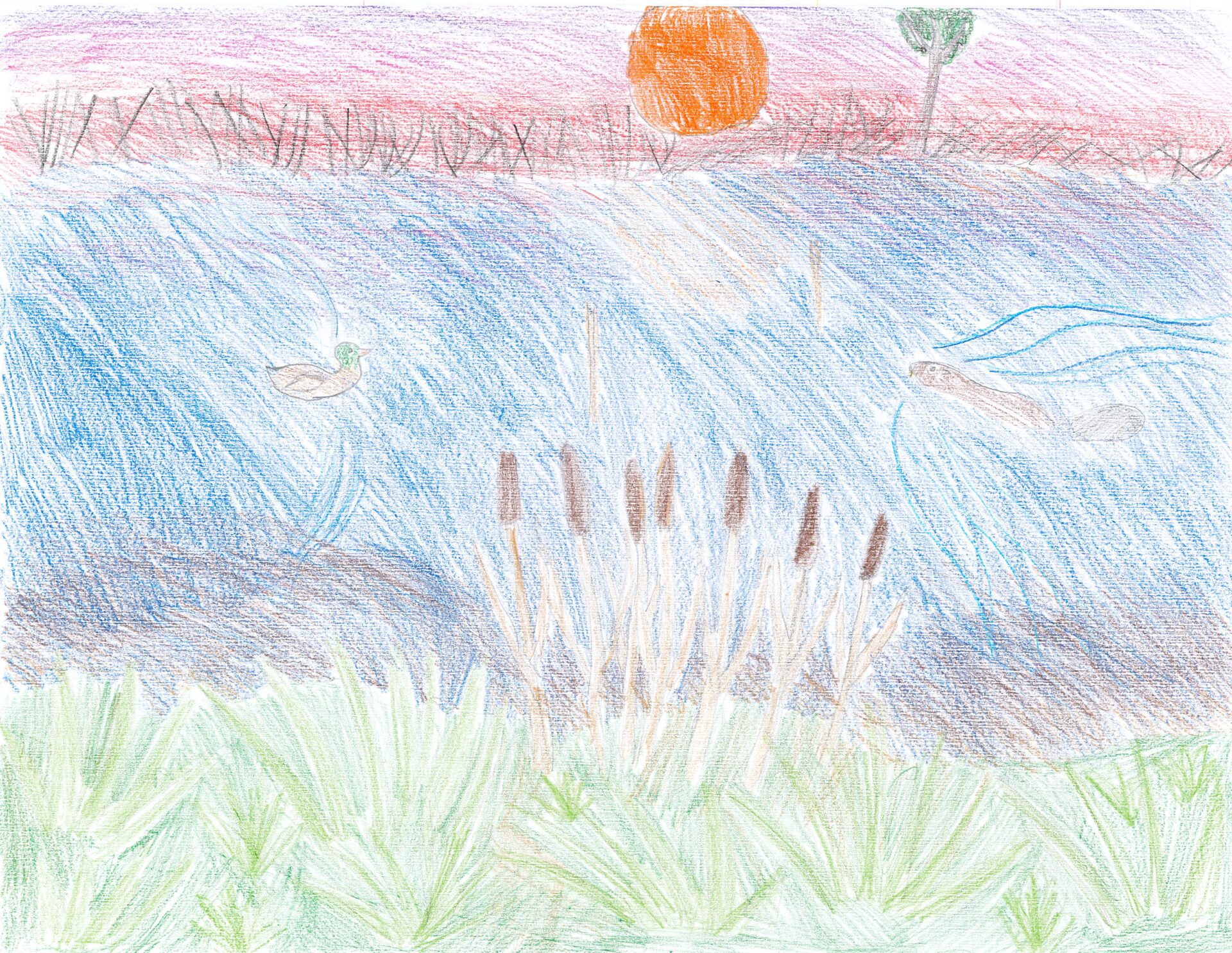 Rebecca, Preeceville School, Melville - Gr. 4