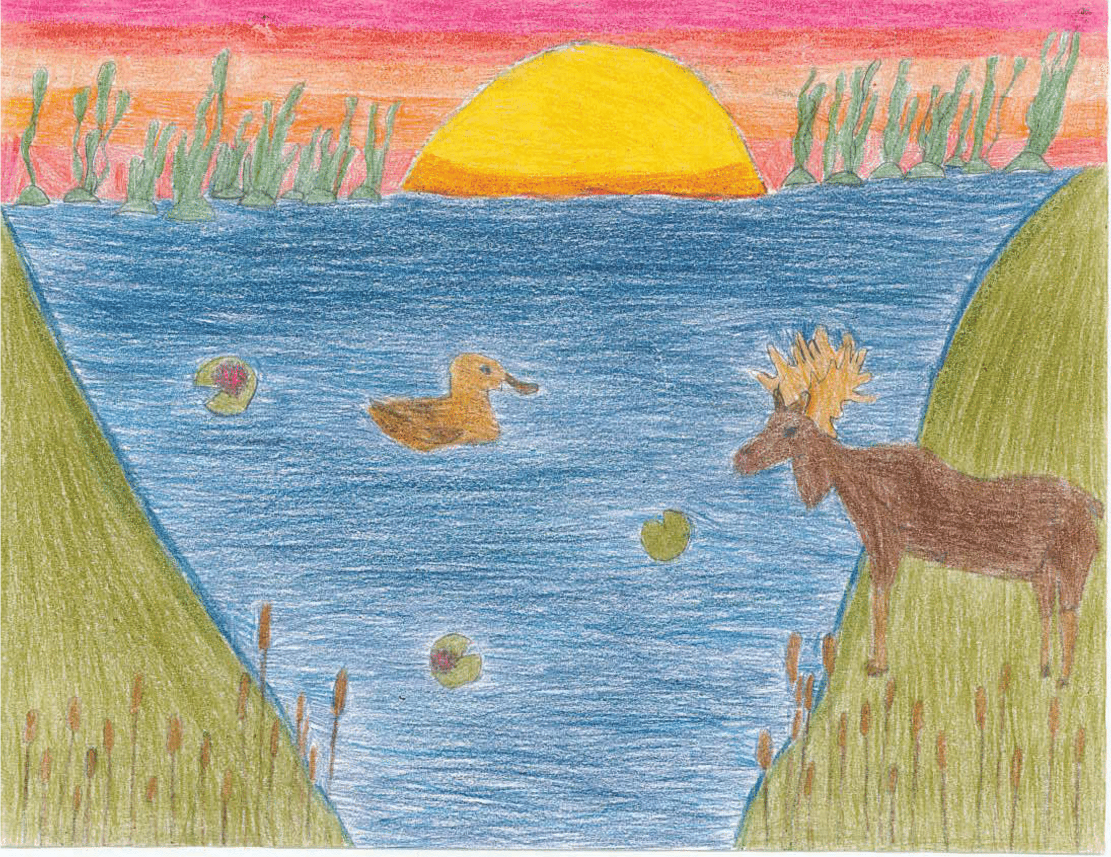 1st Place - Kamryn - Gr4 - Saltcoats - 2025-1